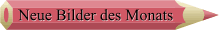 Neue Bilder des Monats 2008