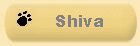 Shiva
