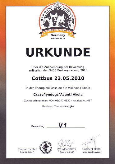 avanti_urkunde