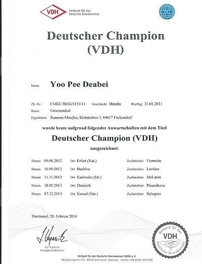 jugendchampion