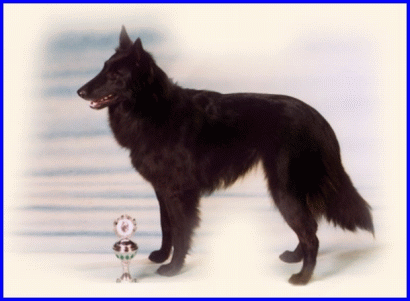 Mignon von Eickenberg